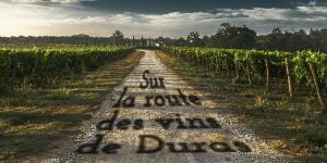 Lire la suite à propos de l’article La route des vins de Duras