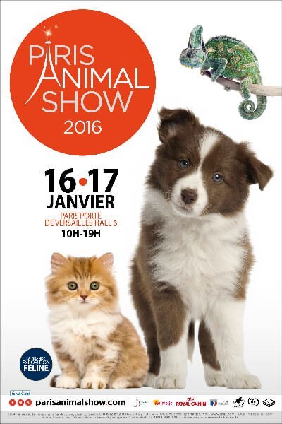 Lire la suite à propos de l’article Paris Animal Show, c’est la fête aux petites bêtes !