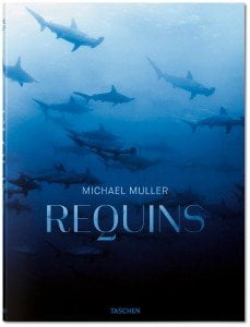 Requins de Michael Muller