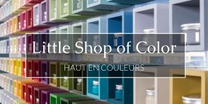 Lire la suite à propos de l’article Little Shop of Color, haut en couleurs