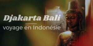 Lire la suite à propos de l’article Djakarta Bali, voyage en Indonésie