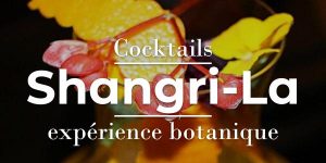 Lire la suite à propos de l’article Bar du Shangri-La, expérience botanique