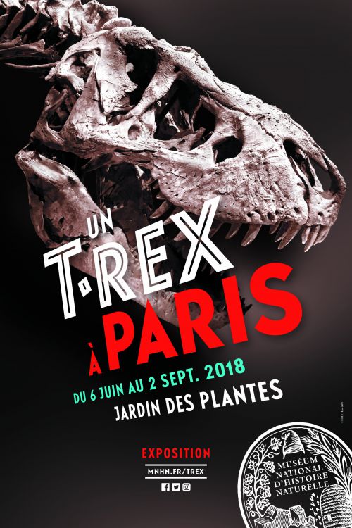 Lire la suite à propos de l’article Un T.Rex à Paris