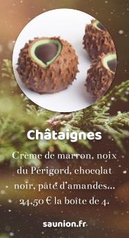 https://www.saunion.fr/boutique/chocolats/chataigne/