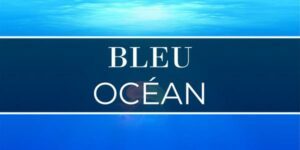 Lire la suite à propos de l’article Bleu océan