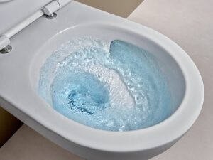 Lire la suite à propos de l’article Un WC qui économise de l’eau