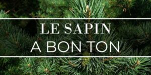 Lire la suite à propos de l’article Le sapin a bon ton