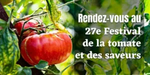 Lire la suite à propos de l’article Rendez-vous au 27e Festival de la tomate et des saveurs