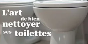 Lire la suite à propos de l’article L’art de bien nettoyer ses toilettes