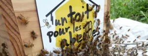 Lire la suite à propos de l’article Sauver les abeilles, soutenir les apiculteurs