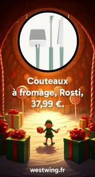 15 : Set Couteaux à fromage, Rosti, 37,99 €. https://www.westwing.fr/ensemble-de-couteaux-a-fromage-emma-3-pieces-fr-25roi28161.html?simple=DEQ25ROI28161-998171&utm_source=google&utm_medium=sea-conversion-nbr&utm_campaign=fr_performancemax_nbr_third-party&utm_content=22849300448.6598882353.pla&gad_source=1&gad_campaignid=22849303874&gbraid=0AAAAADZC_7_XPJEA-tvKMW0lV2PHQ0PiZ&gclid=CjwKCAjwxrLHBhA2EiwAu9EdM2V6q4-LVY1WH6f2QnwO0NydHlI5y9DpAmtDFdNqUw6UckScLYAGaRoCkSYQAvD_BwE