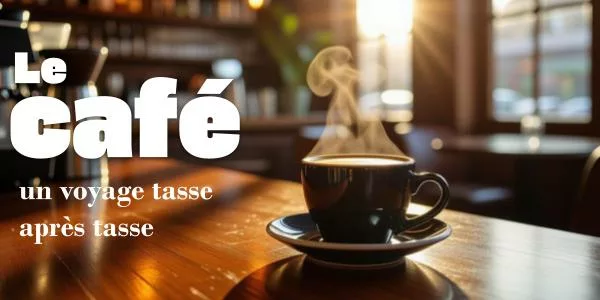 Lire la suite à propos de l’article Le café : un voyage tasse après tasse