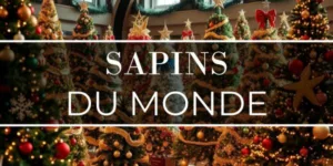 Lire la suite à propos de l’article Sapins du monde