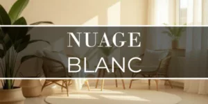 Lire la suite à propos de l’article Nuage blanc