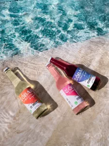 Lire la suite à propos de l’article Sobaie Kombucha, la nouvelle vague sans alcool