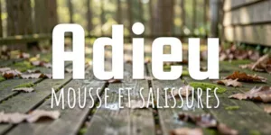 Lire la suite à propos de l’article Adieu mousse et salissures