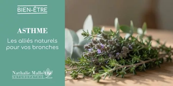 Lire la suite à propos de l’article Asthme : les alliés naturels pour vos bronches