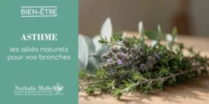 Lire la suite à propos de l’article Asthme : les alliés naturels pour vos bronches