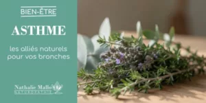 Lire la suite à propos de l’article Asthme : les alliés naturels pour vos bronches