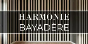 Lire la suite à propos de l’article Harmonie bayadère