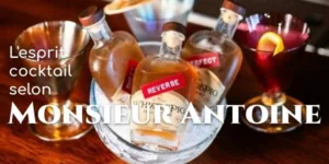 Lire la suite à propos de l’article L&rsquo;esprit cocktail selon Monsieur Antoine