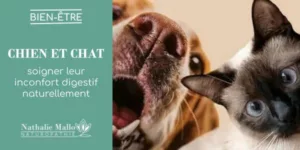 Lire la suite à propos de l’article Chien et chat : soigner leur inconfort digestif naturellement